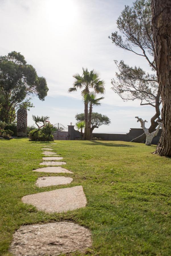 Villa Les Glycines Les Issambres Exteriér fotografie